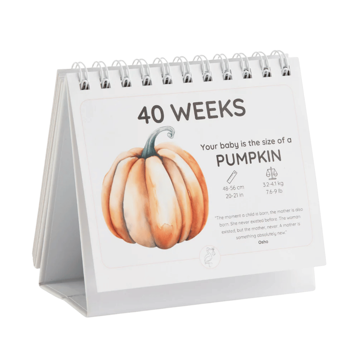 The Growing Miracle Pregnancy Calendar